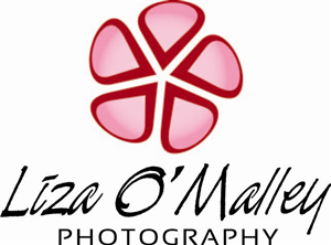 Logo Design by  LBZ for this project | Design: #2452600