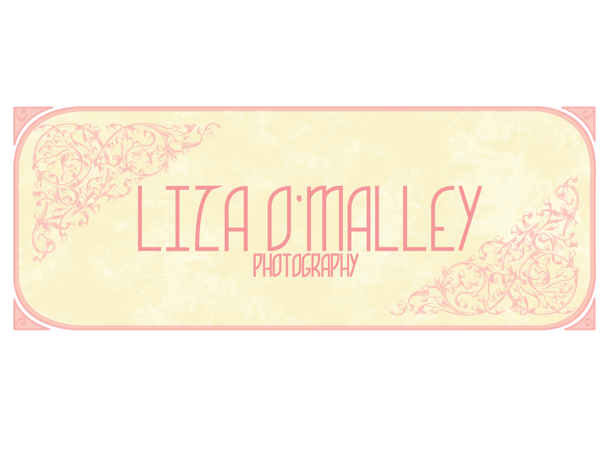 Logo Design by  iraandries for this project | Design #2477883