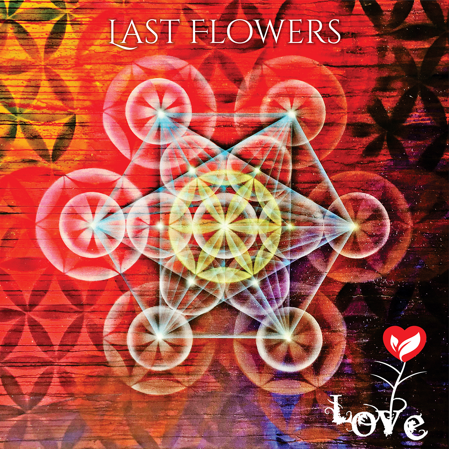CD Cover Design by alhemique1 for this project | Design #12875197