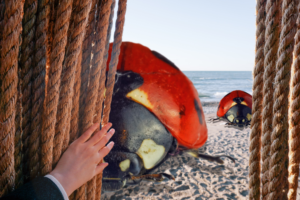 Photoshop Design by Tina Marie Doss