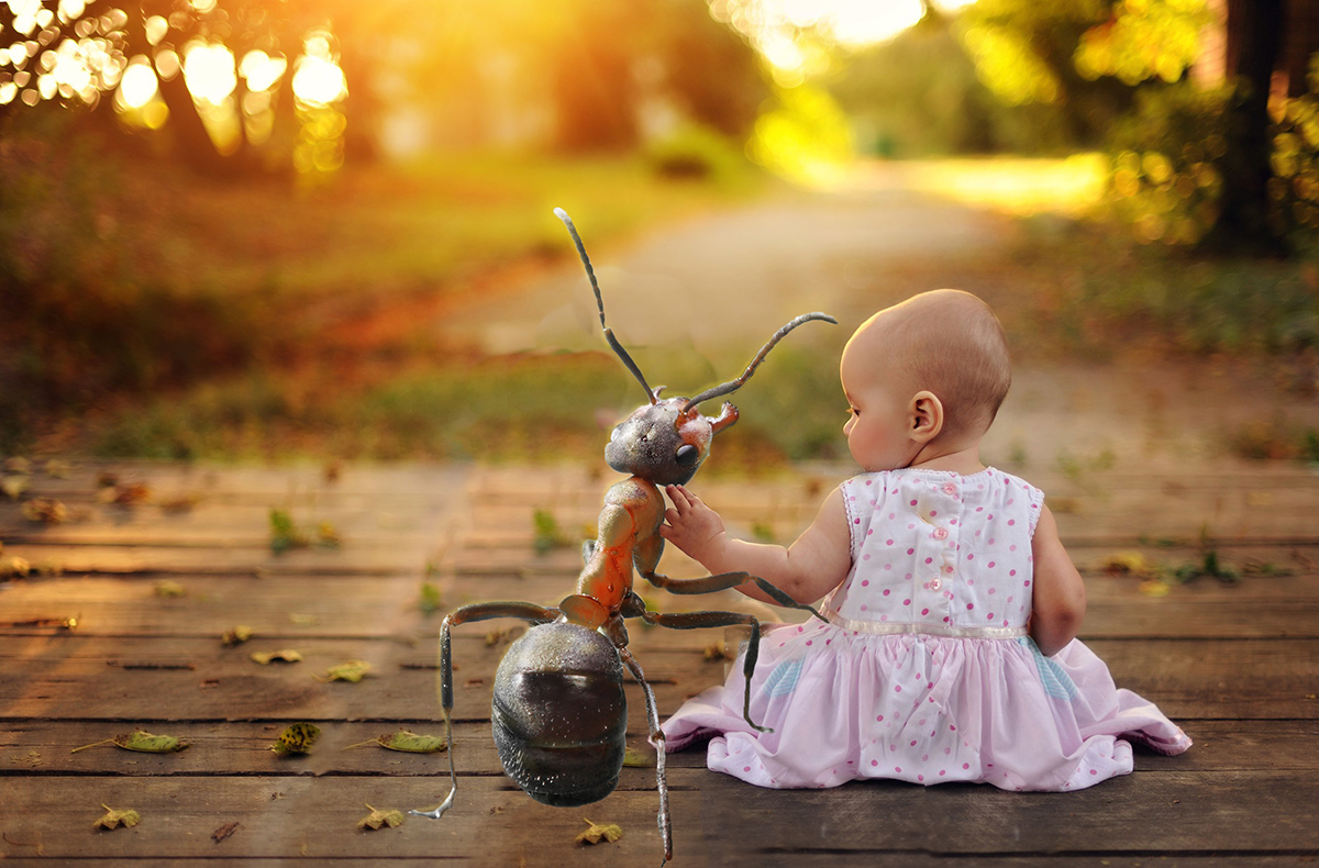 Photoshop Design by BurBur for DesignCrowd (Community Contests) | Design #12903230