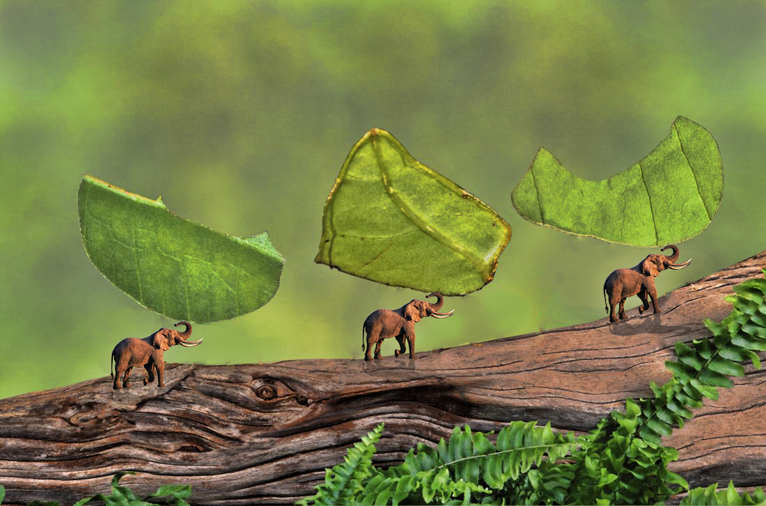 Photoshop Design by OUSSAMA designer for DesignCrowd (Community Contests) | Design #12849781
