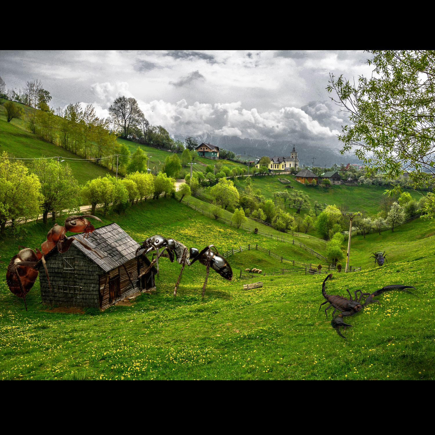 Photoshop Design by basilbenny50 for DesignCrowd (Community Contests) | Design #12835303