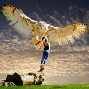 Photoshop Design by doarnora