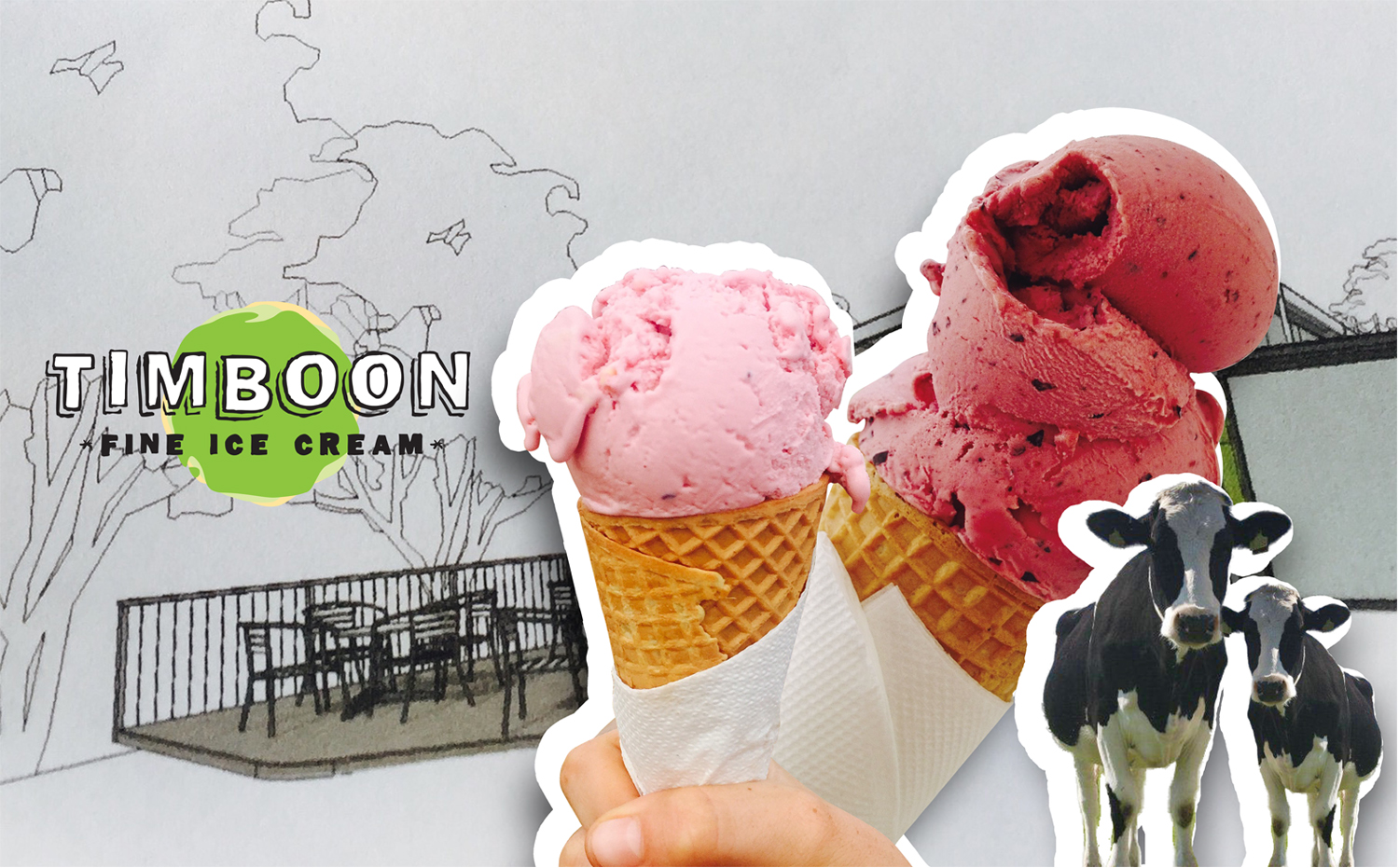 Playful, Personable, Tourism Signage Design for Timboon Fine Ice cream