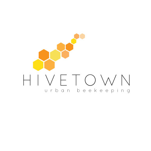Diseño de Logo por Kiwi &amp; Lime Design para Hivetown | Diseño #12841197