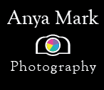 Logo Design by abstractvisionary