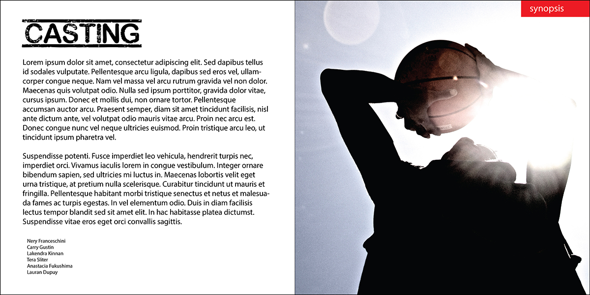 Brochure Design by Synthesis for Fair Fight Films | Design #2494418