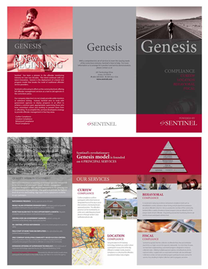 Genesis brochure | Brochure Design by san011
