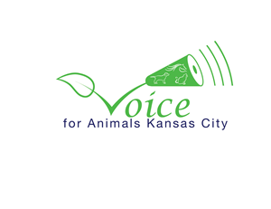Logo Design by jonnson