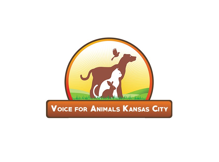 Logo Design by Creativedesigne1 for Allay OCD | Design #5787403