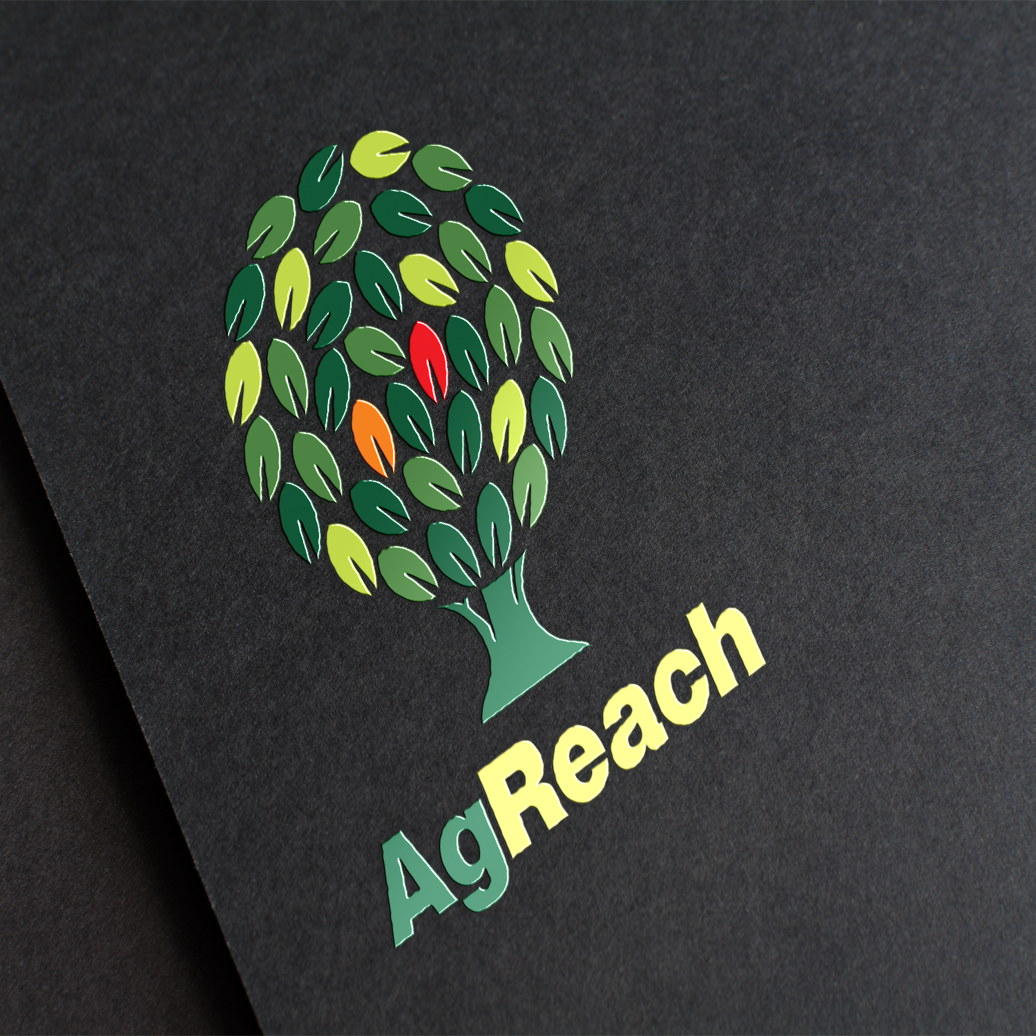 Graphic Design by ANDINA GRAPHIC DEVELOPMENTS for Amanda Childress | Design #12942438