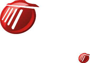 Icon Design by Try Me Design for Eurospider Information Technology AG | Design: #524977