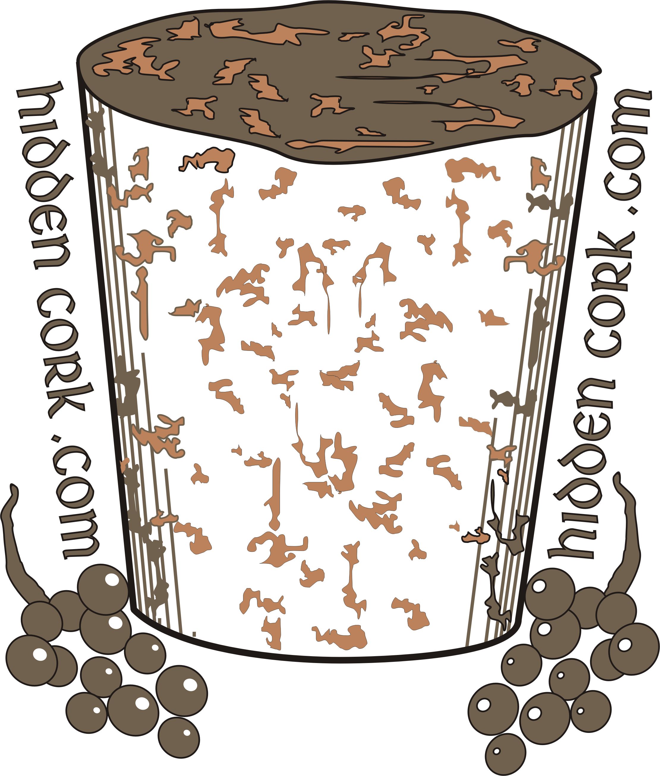 Logo Design by Logo by J Foster for HiddenCork.com | Design #30549