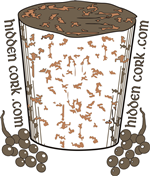 Logo-Design von Logo by J Foster für HiddenCork.com | Design: #30549