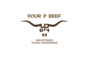 Logo Design by OnlineDesign