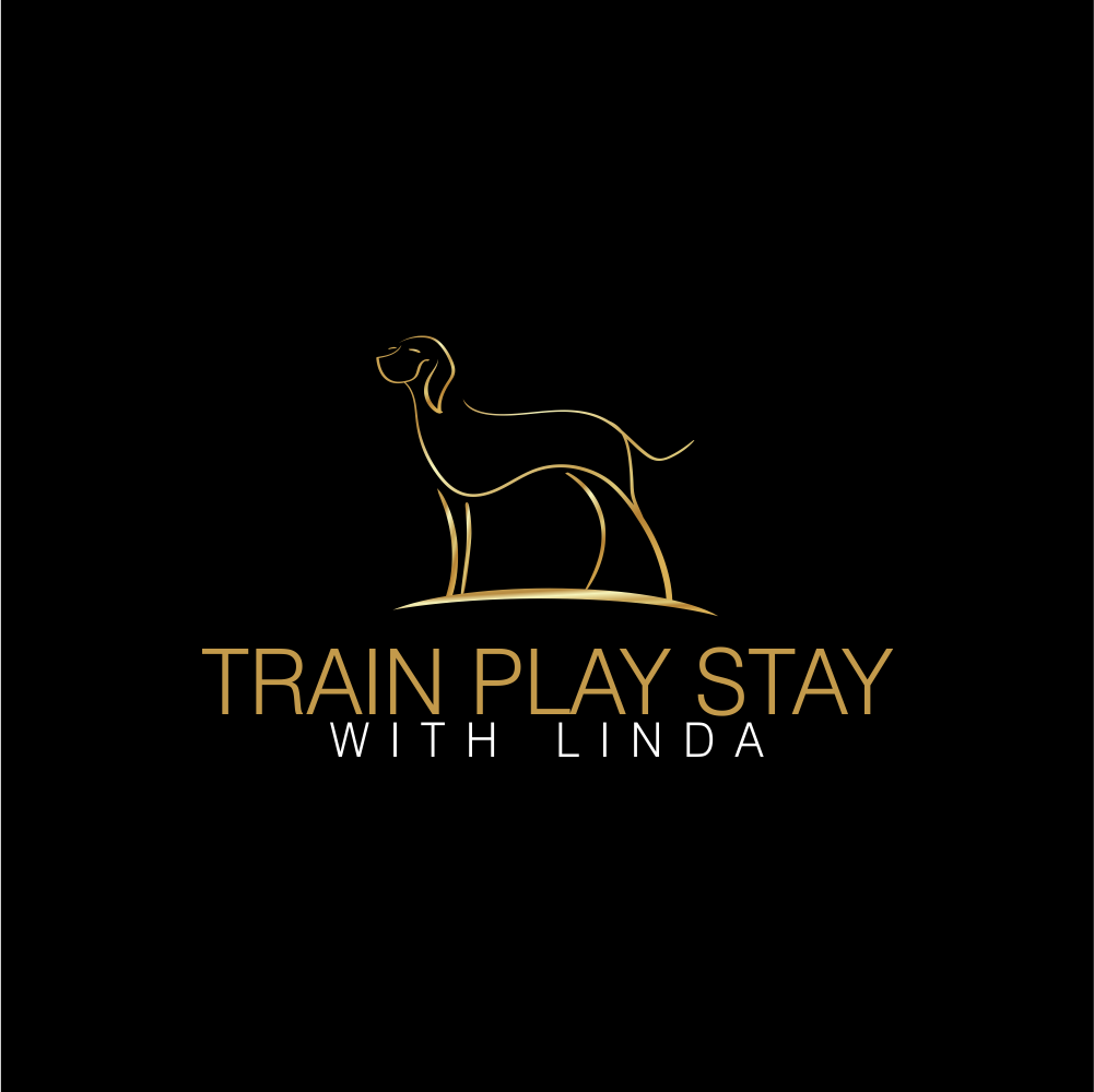 Logo Design by moisesf for Train Play Stay | Design #12883415