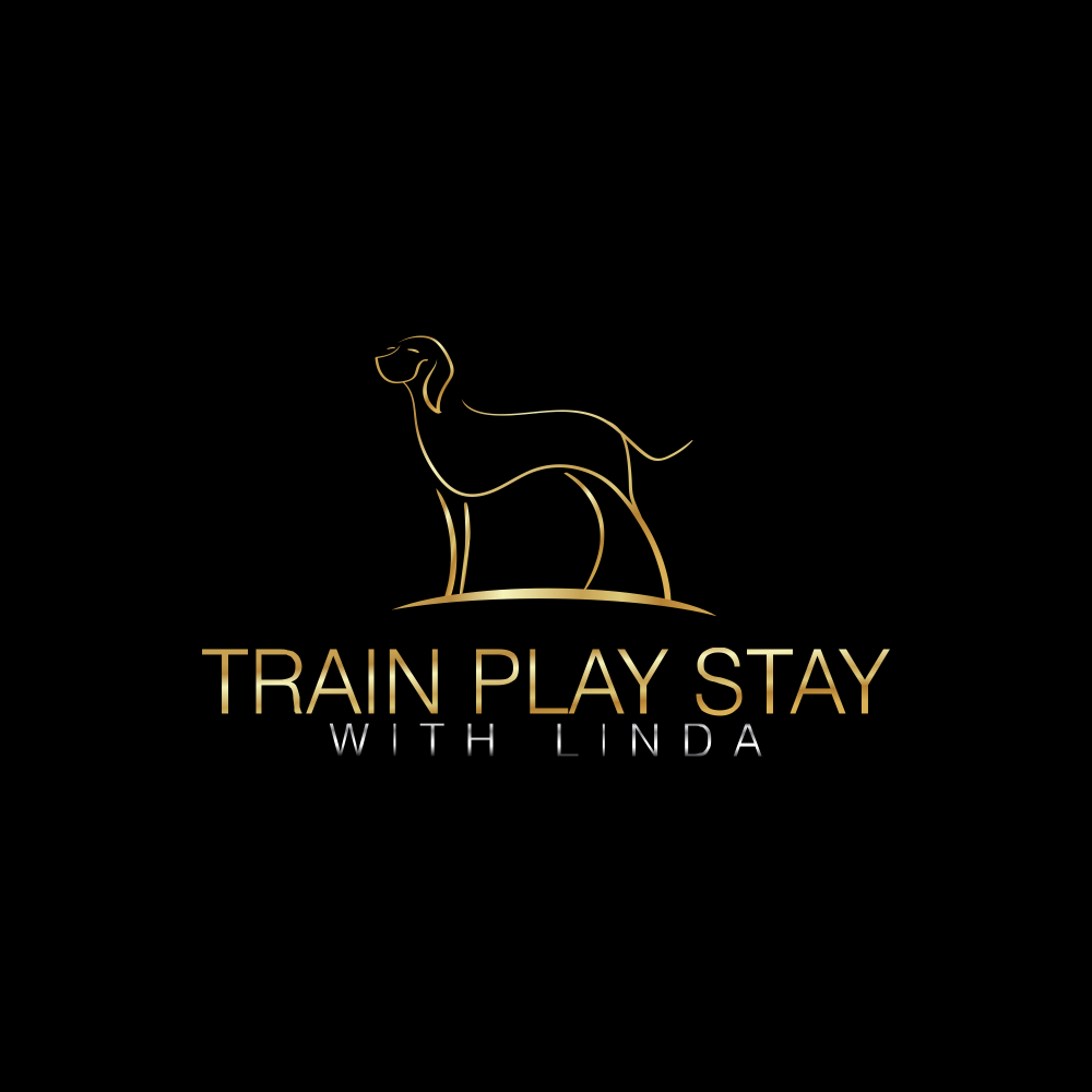Logo Design by moisesf for Train Play Stay | Design #12883601