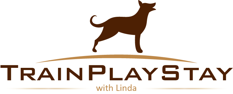 Logo Design by donnykok for Train Play Stay | Design #12886335