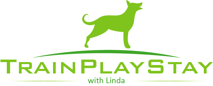 Logo Design by donnykok for Train Play Stay | Design #12886336