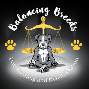  Dog training logo | Illustration-Design von icirotrisna