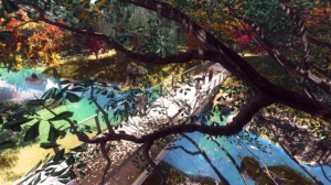 Photoshop Design by smiledim24 for DCSS Ltd (NZ) | Design: #12954038