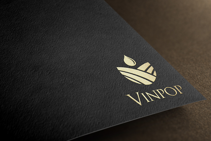 Diseño de Logo por B.Tibéri para este proyecto | Diseño #12937374