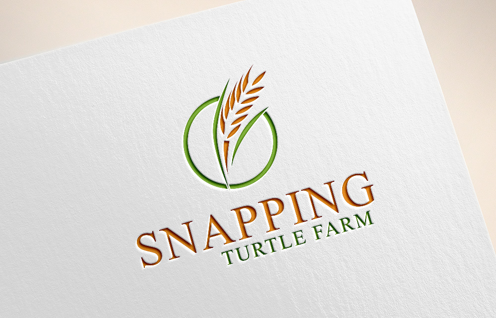 Logo Design by Turn Digital for this project | Design #12894547