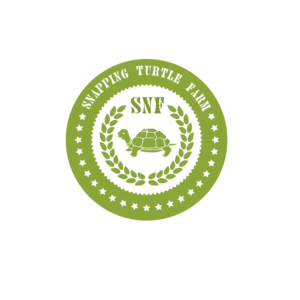 Logo Design by Fannan3D
