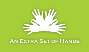 Logo Design by Dhruv Design Studio for this project | Design: #13014687