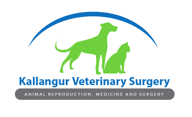 Logo Design by TSEdesign for Repro Vets P/L | Design #12905187