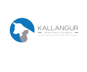 Logo Design by jehuty72
