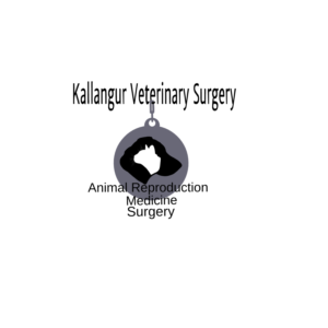 Logo Design by izzy2crazy for Repro Vets P/L | Design: #12915640