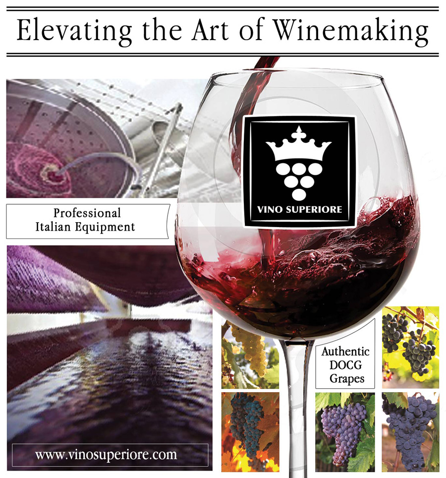 Advertisement Design by nemorosa for this project | Design #2448457