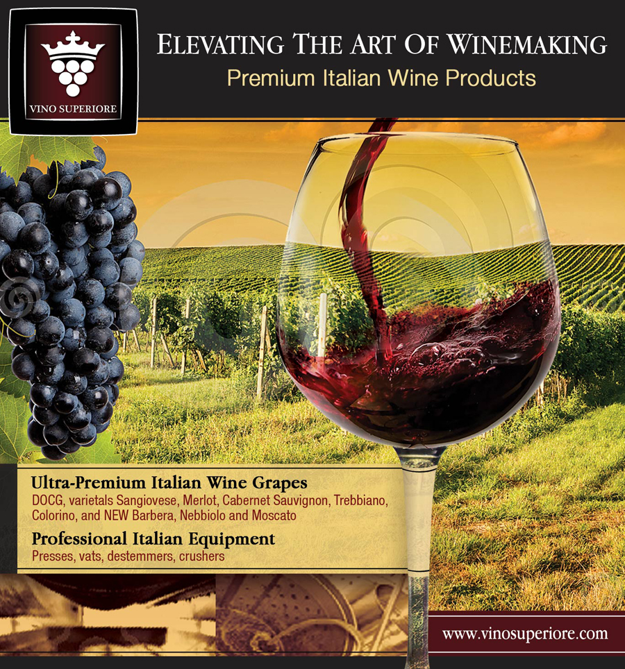 Advertisement Design by nemorosa for this project | Design #2458544