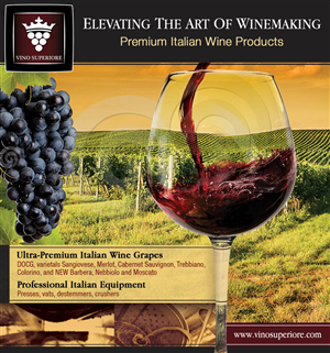 Advertisement Design by nemorosa for this project | Design: #2458544