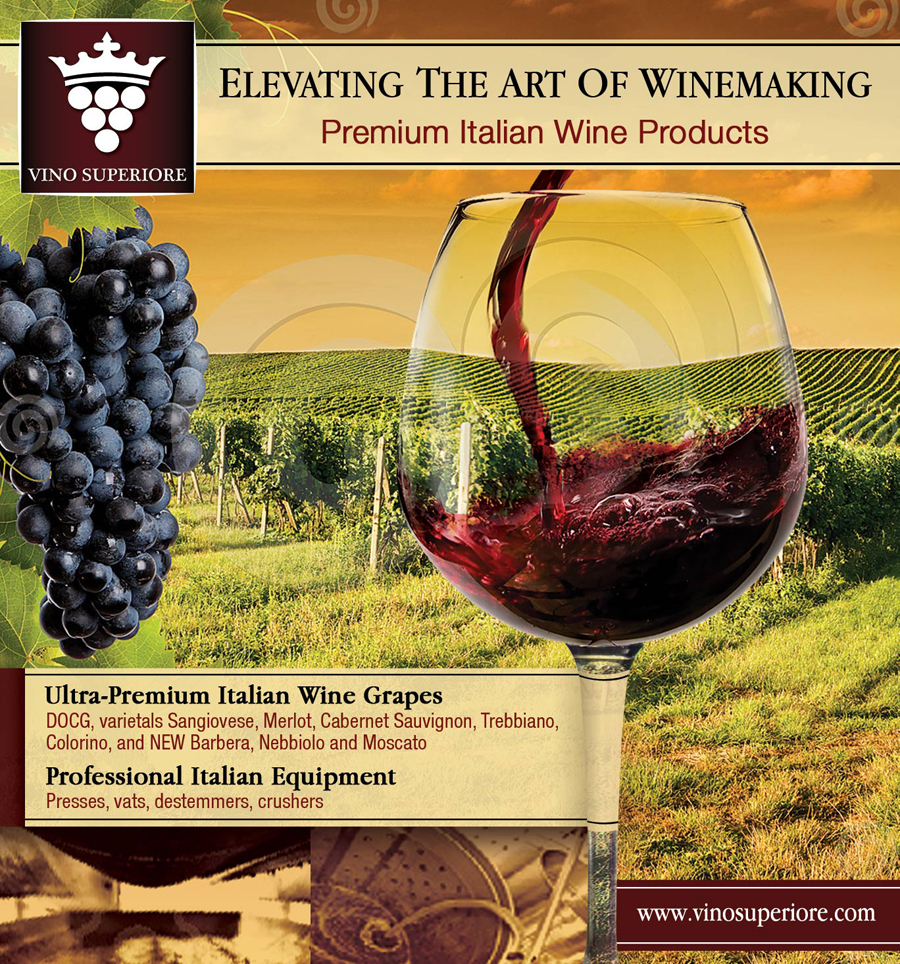 Advertisement Design by nemorosa for this project | Design #2458547