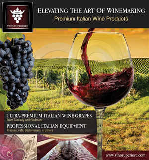 Advertisement Design by nemorosa for this project | Design: #2464071