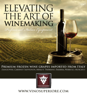 Advertisement Design by AlignDesign for this project | Design: #2446837