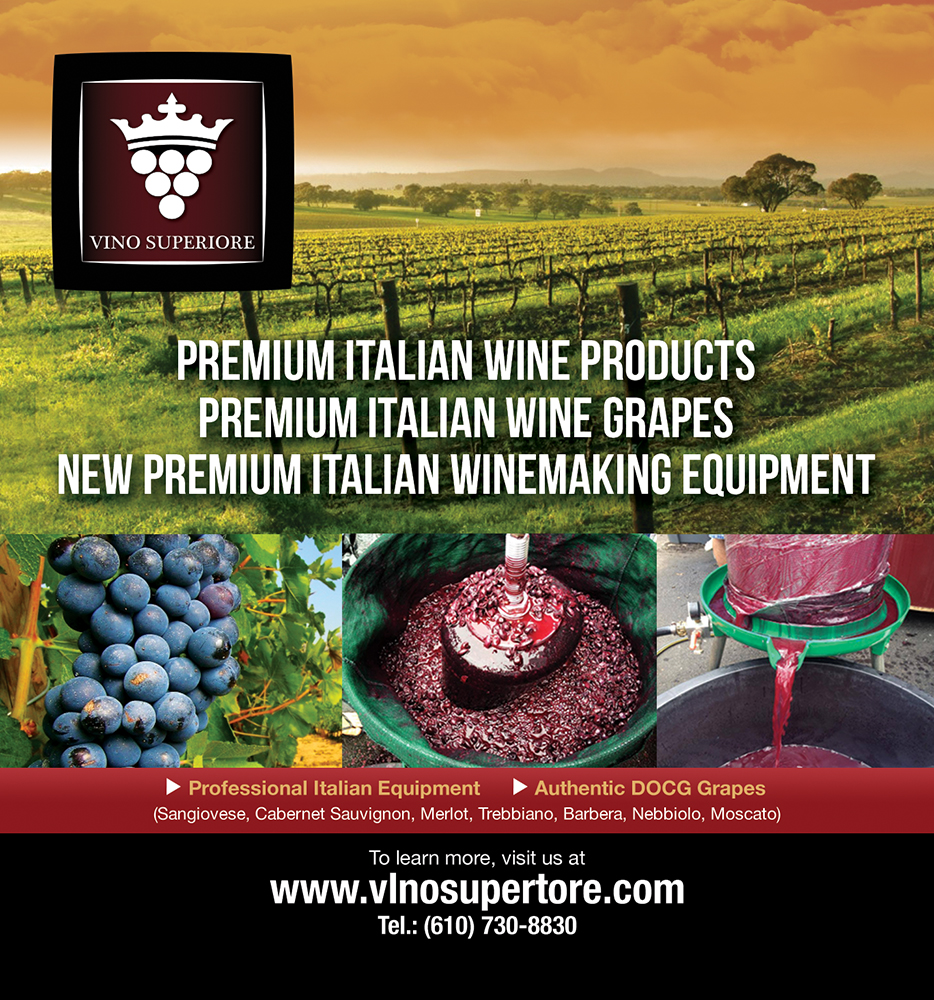 Advertisement Design by IG Creative Solutions for this project | Design #2457435