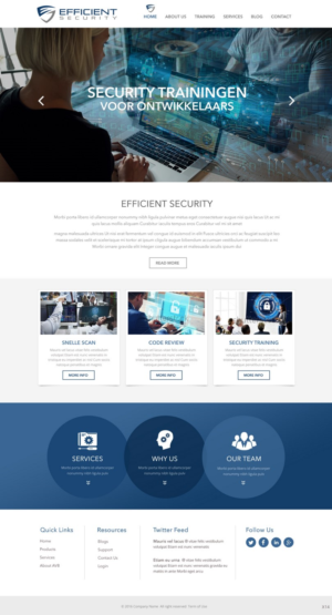 Web Design by pb for Efficient Security | Design: #12926116
