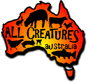 Logo Design by P. Bakke