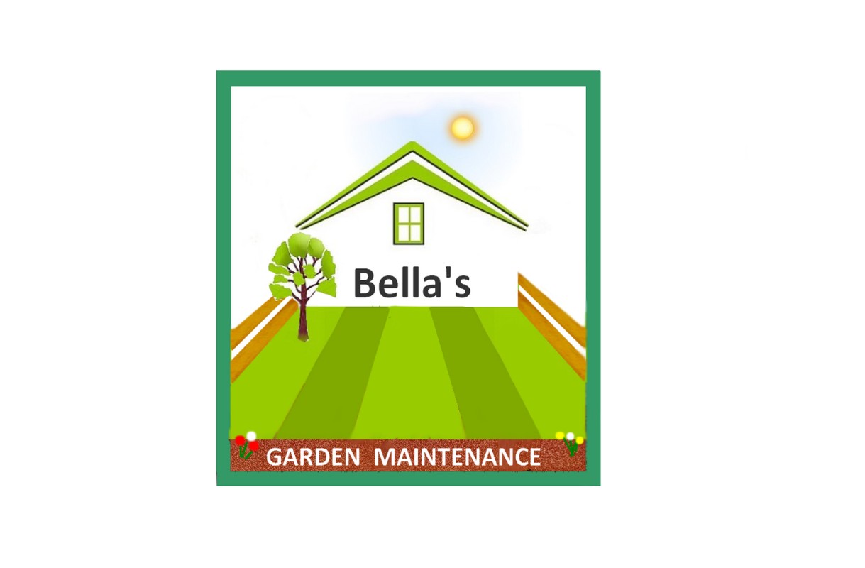 Illustration Design by designerone for this project | Design #13007598