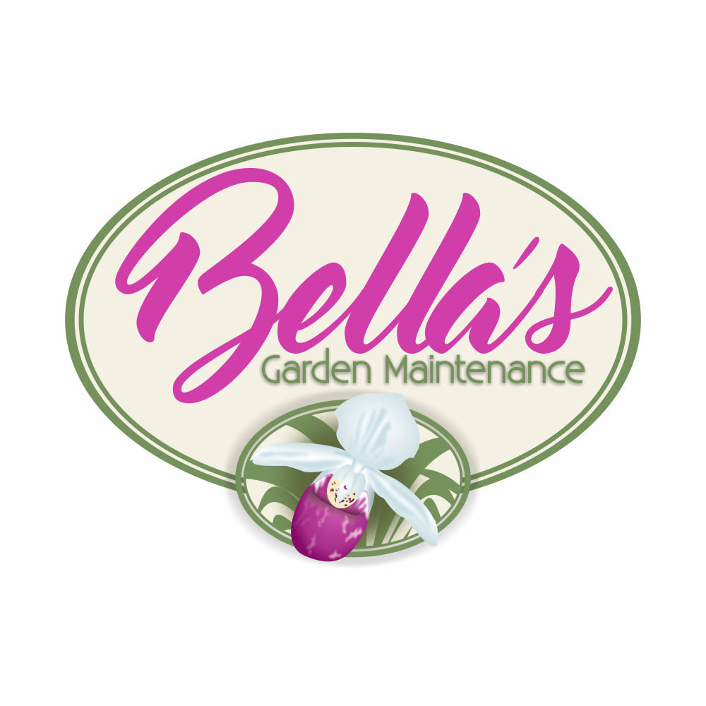 Illustration Design by Lezette_G for this project | Design #13006485