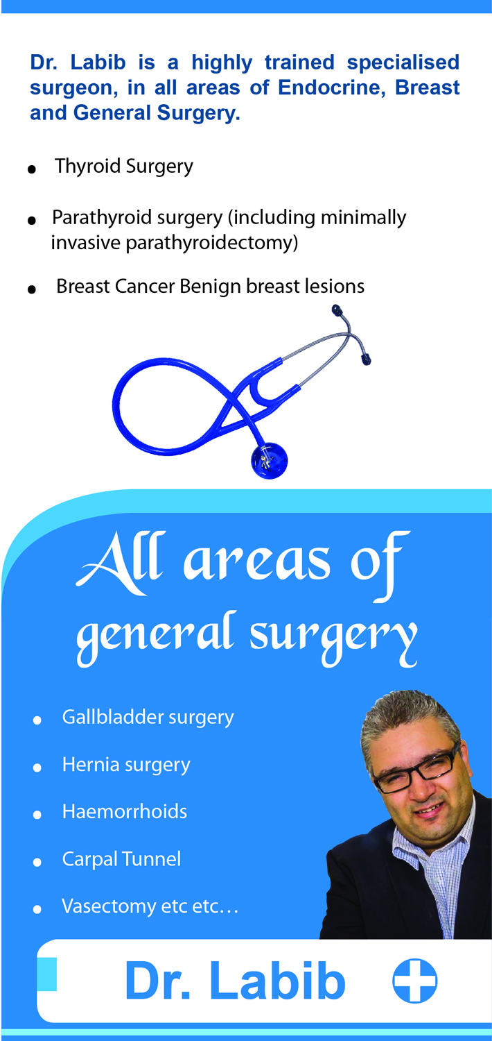 Diseño de Flyer por Jyotsna para este proyecto | Diseño #12926889
