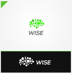WISE | Logo Design by hesanhasan