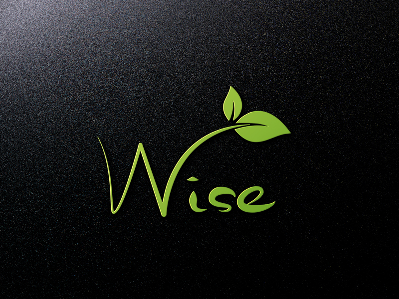 Logo Design by WINSTAR for Center for Cognitive Aging and Memory | Design #12996761