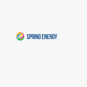 Logo-Design von graphicssoul für Spring Group | Design: #13114701