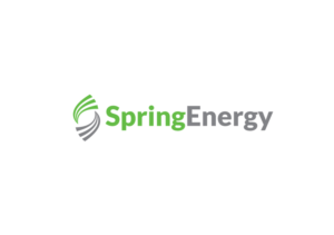 Logo Design by GreenArt for Spring Group | Design: #13032208