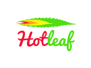 Logo Design by abstractvisionary
